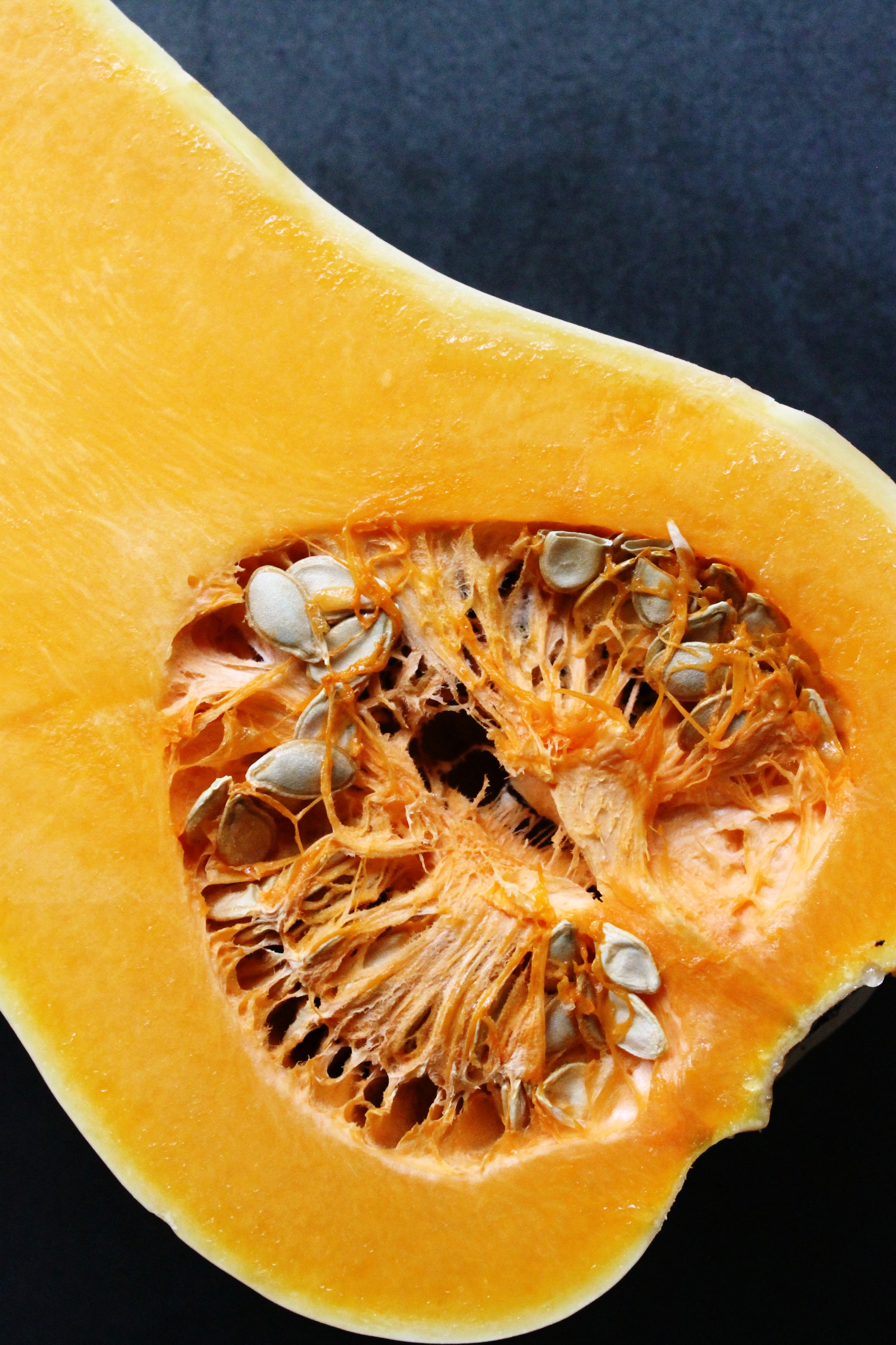 Roasted fall vegetable salad with hazelnuts and chevre | Beloved Kitchen