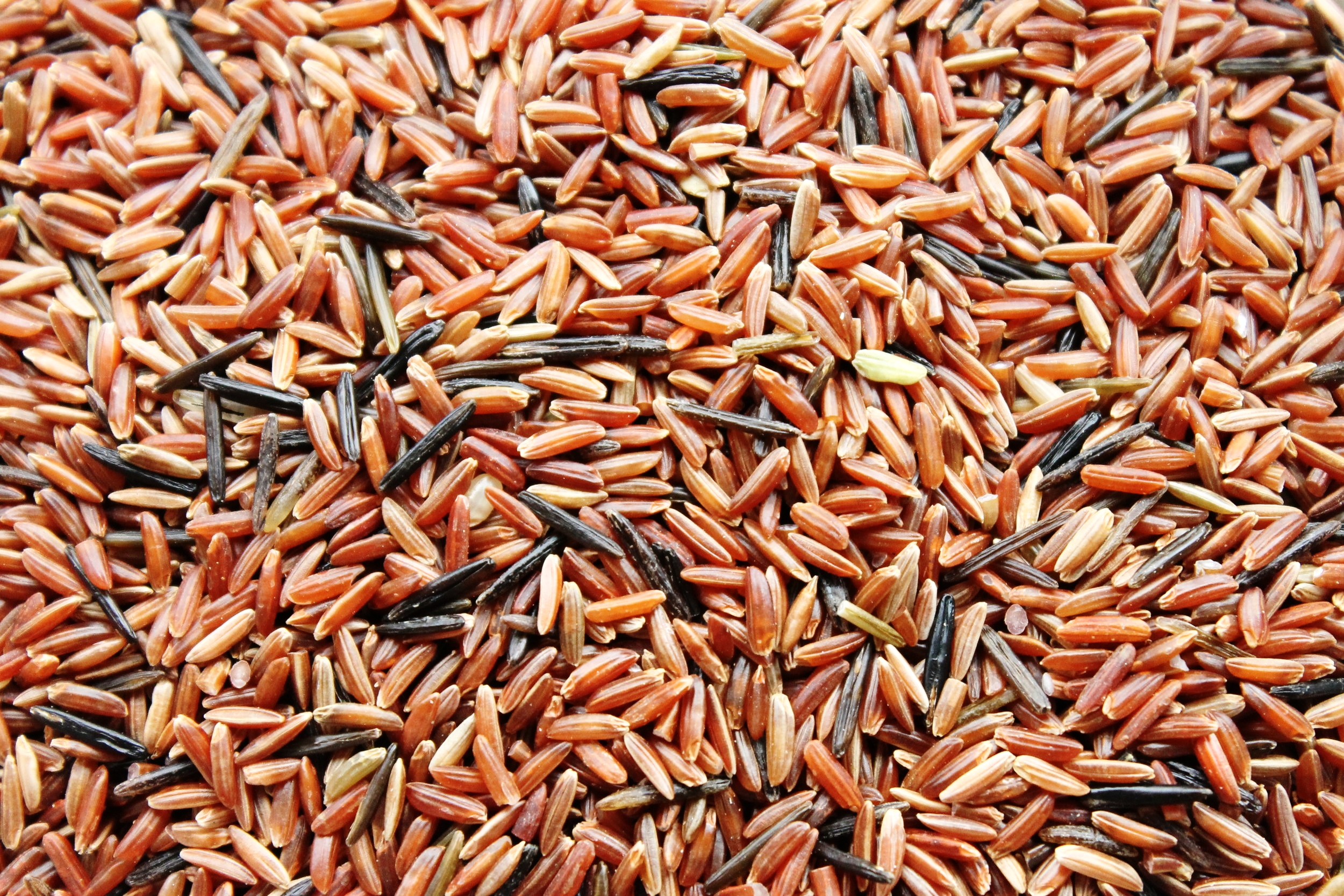 Vegetable tofu stir fry | Beloved Kitchen