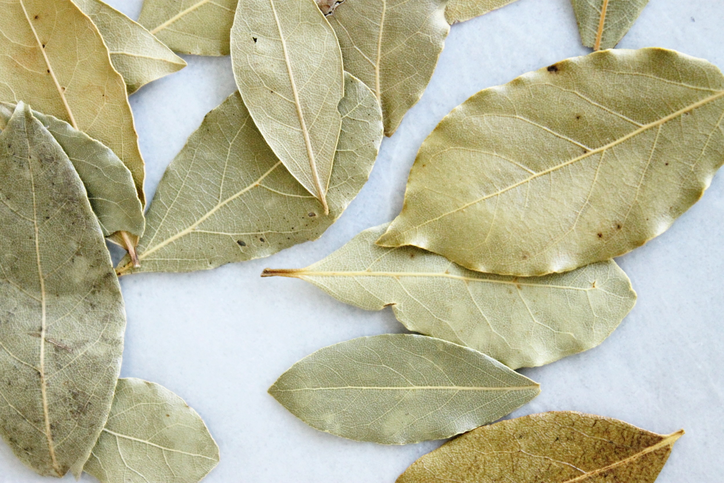 Greek lentil soup (vegan) | Beloved Kitchen
