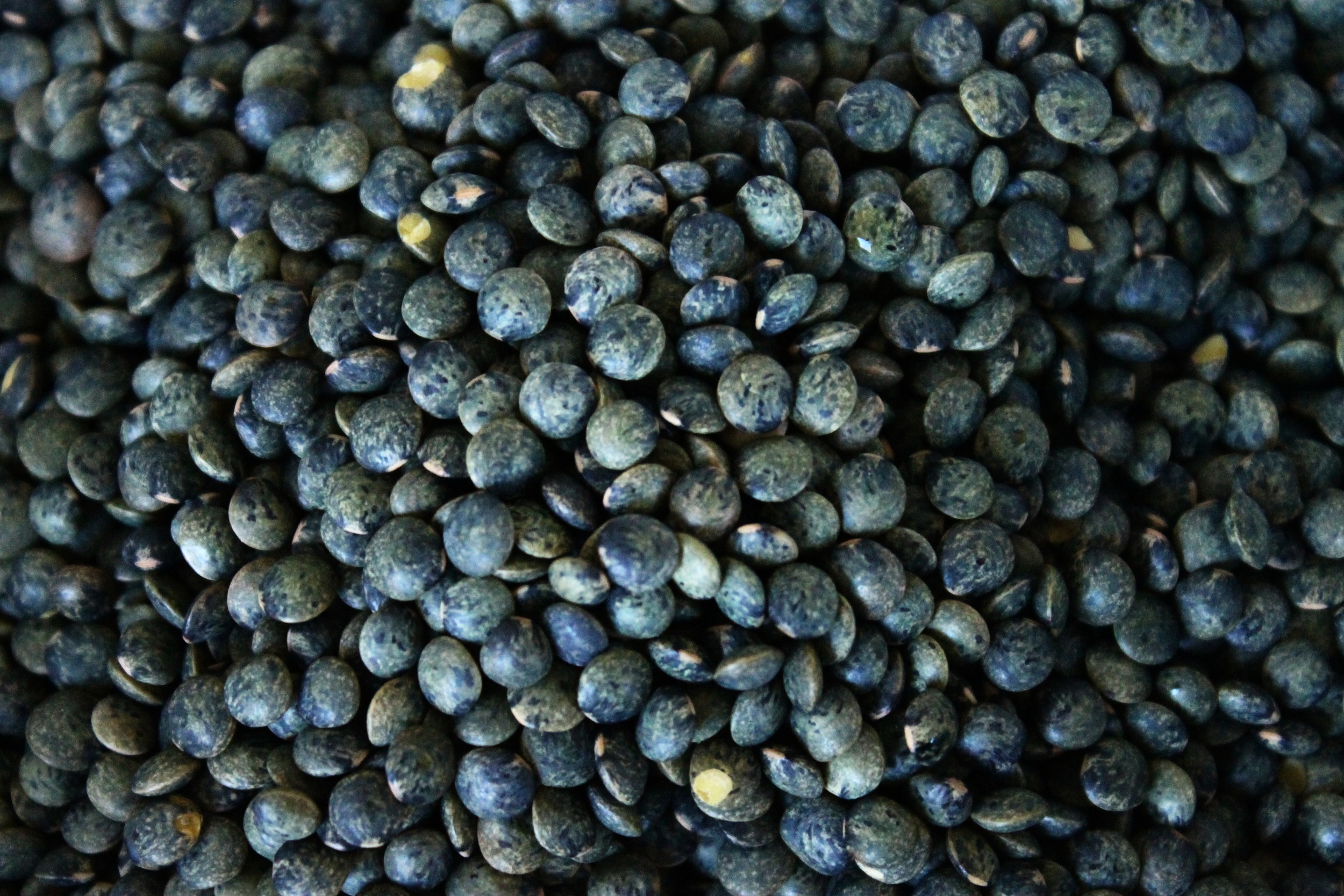 Greek lentil soup (vegan) | Beloved Kitchen