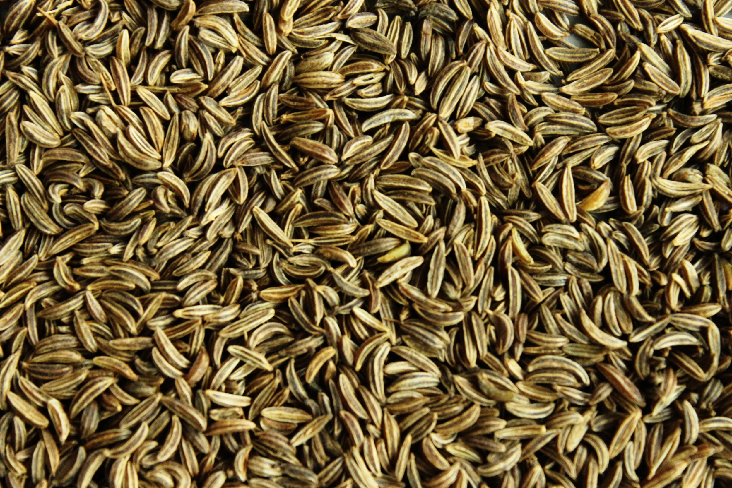 South Tyrolean cabbage salad ('Krautsalat') | Beloved Kitchen