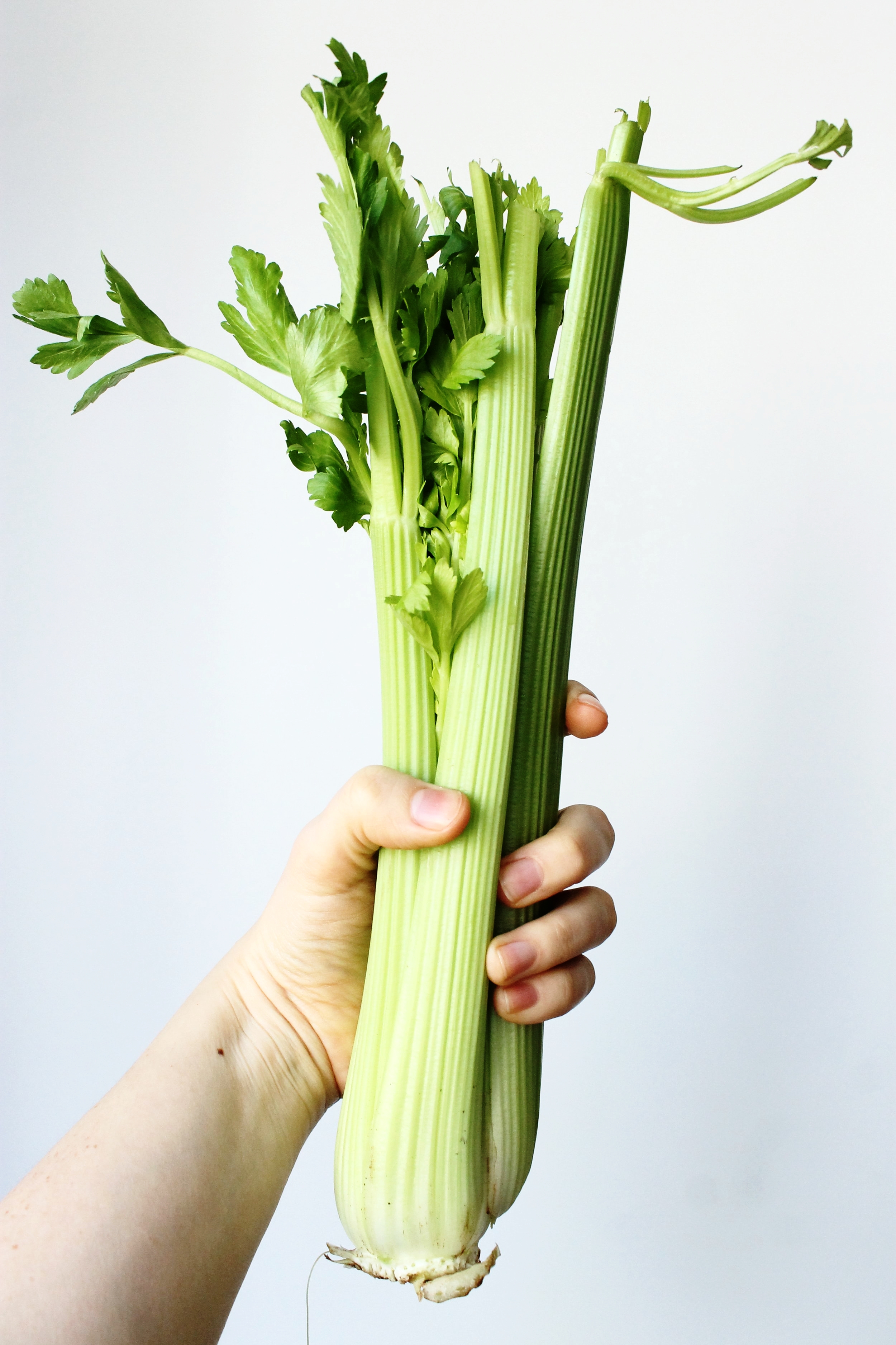 Greek lentil soup (vegan) | Beloved Kitchen