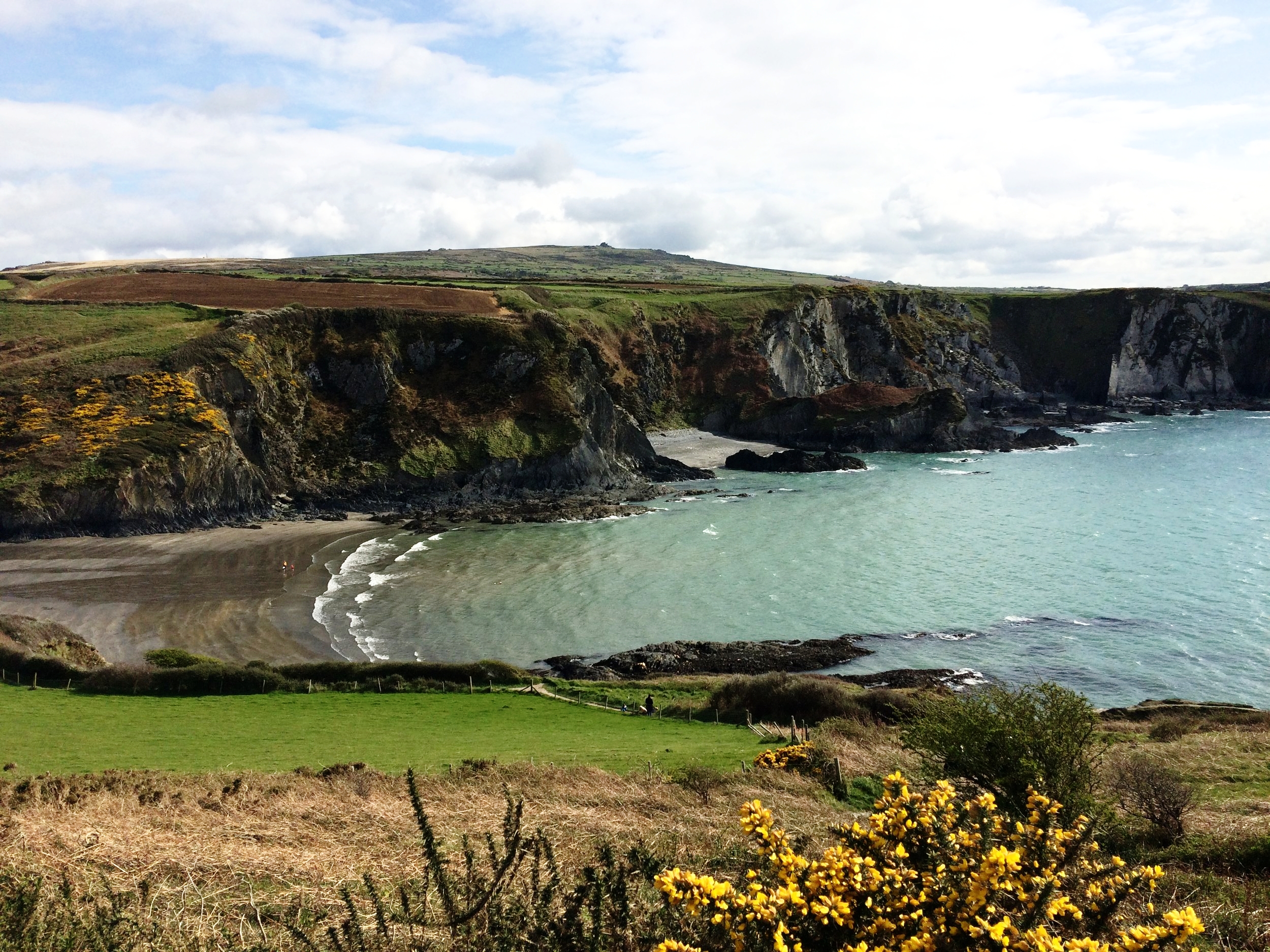 Pwllgwaelod Beach (Dinas Head)