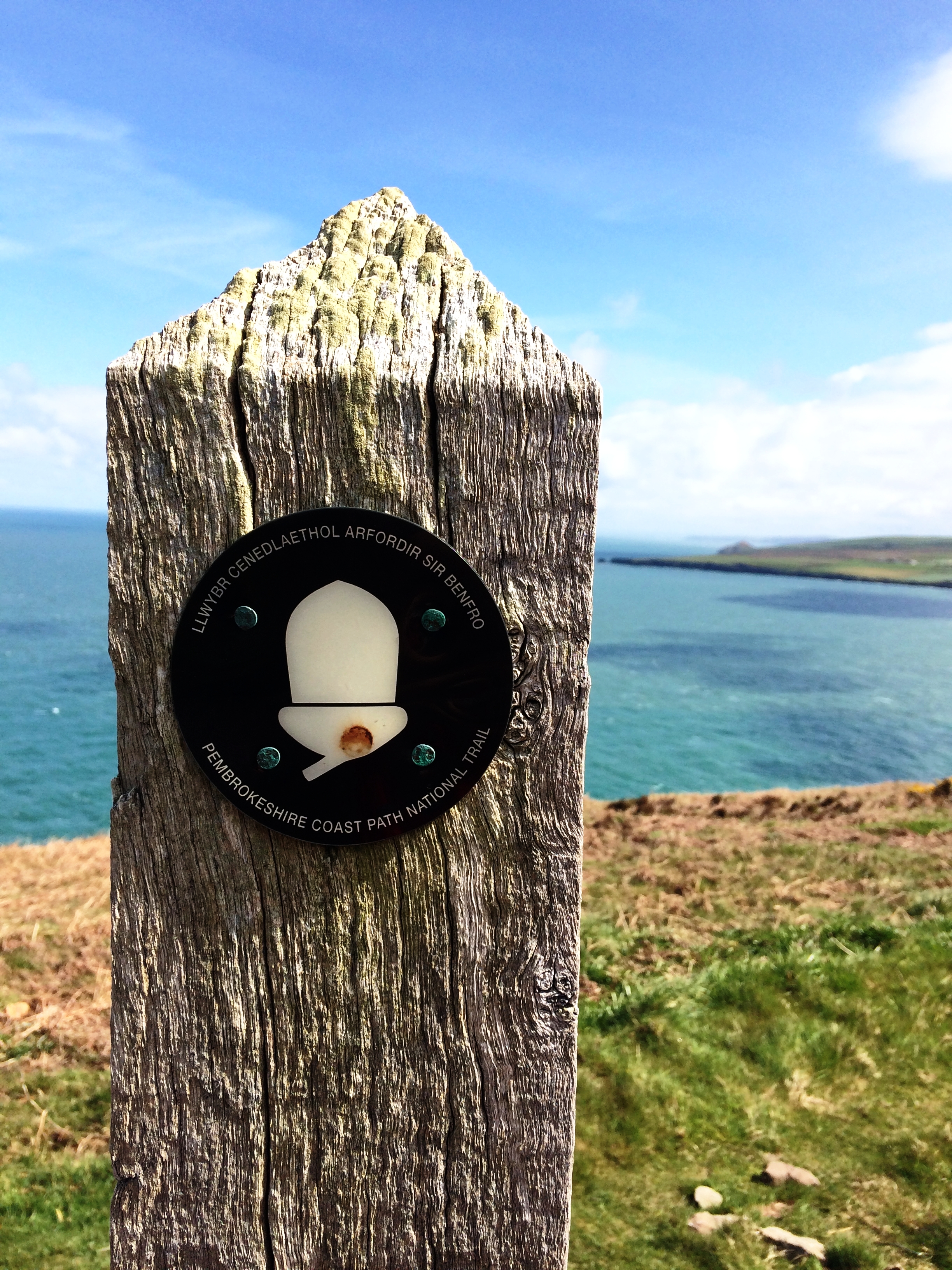 The Pembrokeshire Coast Path is marked by an acorn symbol