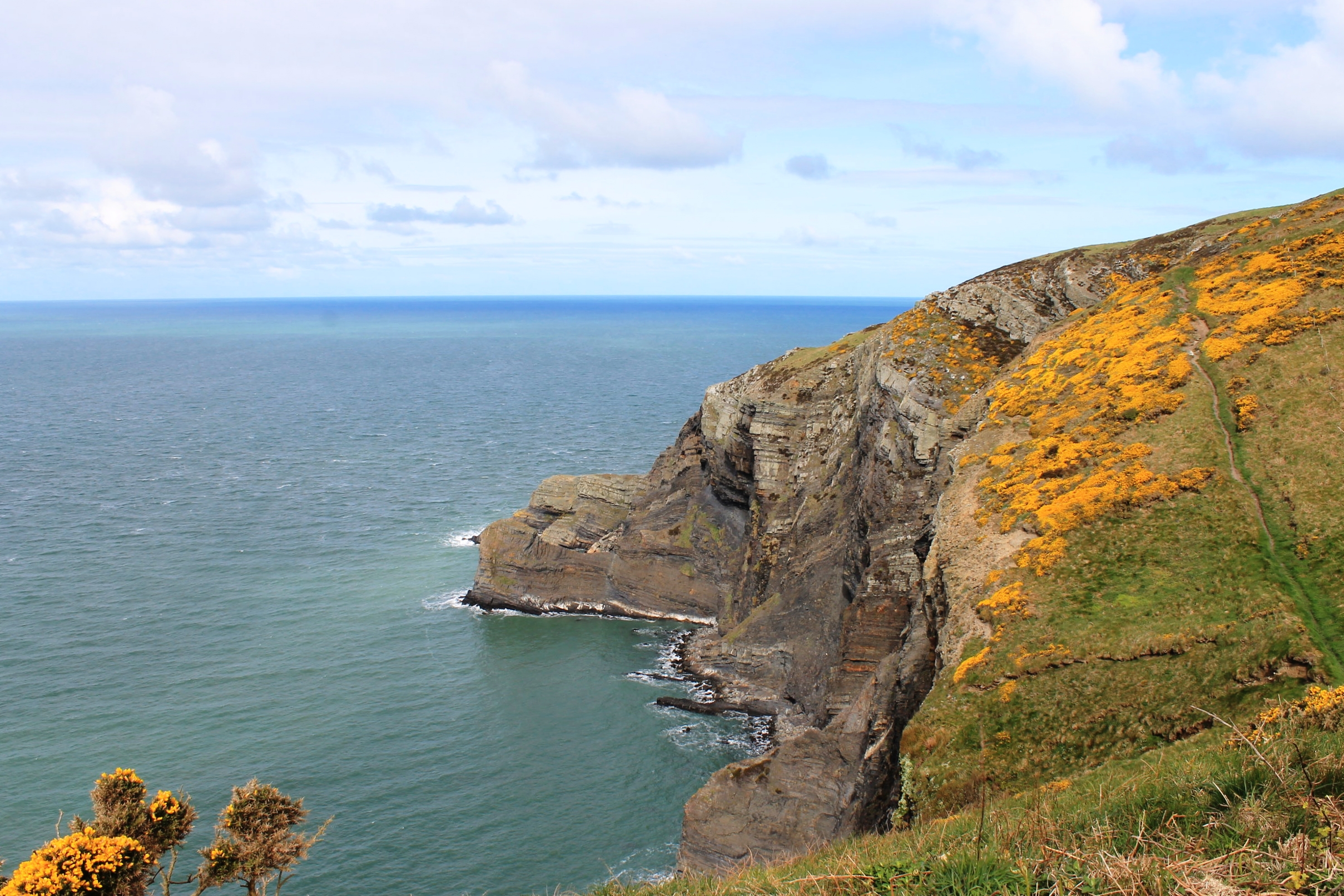 View from the Pembrokeshire Coast Path near St Dogmael's