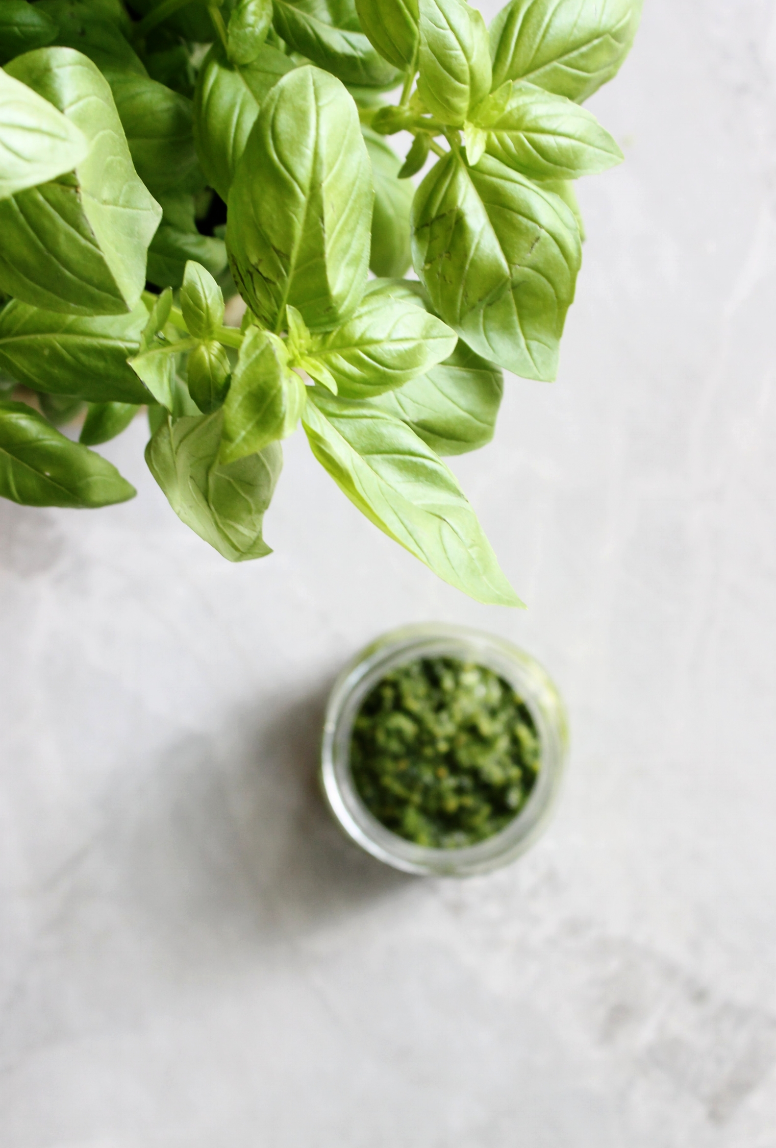 Greener pesto | Beloved Kitchen