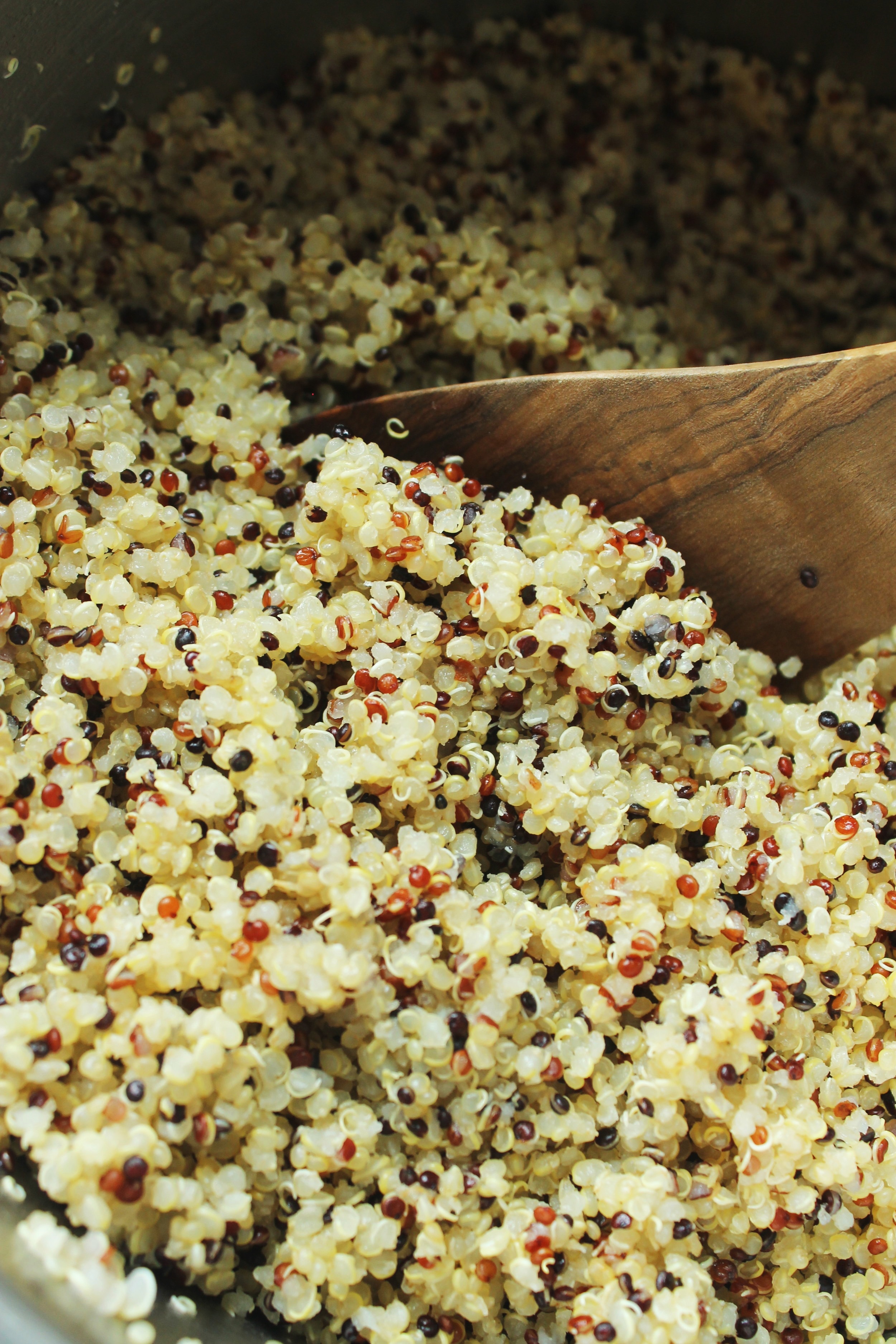 Crispy quinoa and egg salad | Beloved Kitchen