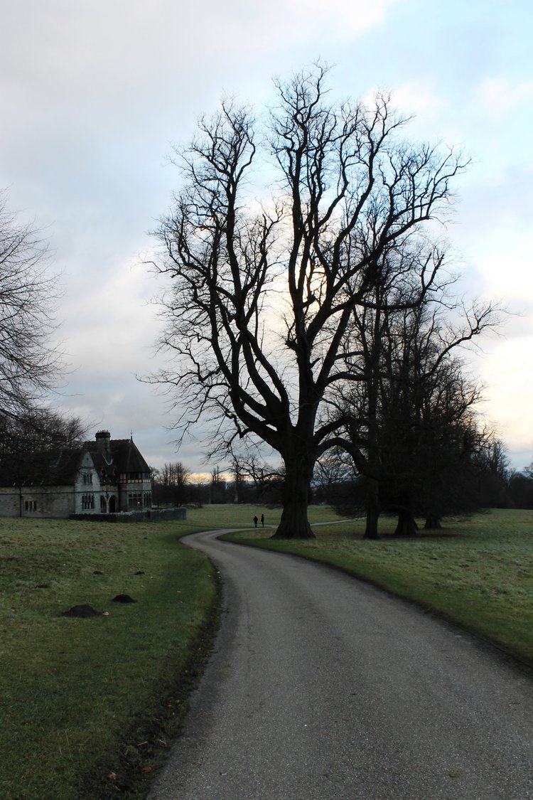 Favourites: December 2017&nbsp;Edition